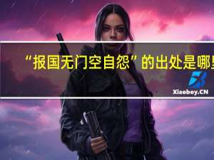 “报国无门空自怨”的出处是哪里
