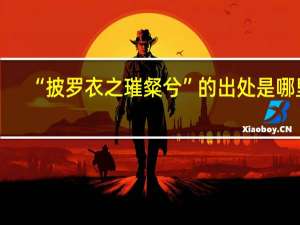 “披罗衣之璀粲兮”的出处是哪里