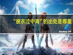 “披衣泣中宵”的出处是哪里