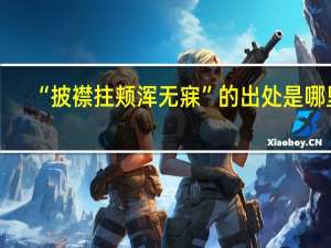 “披襟拄颊浑无寐”的出处是哪里