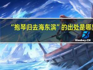 “抱琴归去海东滨”的出处是哪里