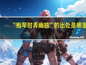 “抱琴时弄幽独”的出处是哪里