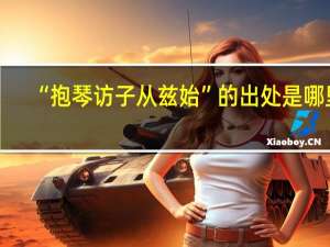 “抱琴访子从兹始”的出处是哪里