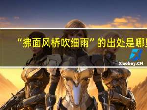 “拂面风桥吹细雨”的出处是哪里