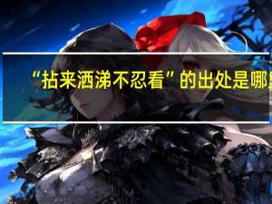 “拈来洒涕不忍看”的出处是哪里