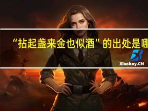 “拈起盏来金也似酒”的出处是哪里
