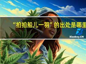 “拍拍船儿一羽”的出处是哪里