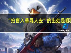 “拍盲入草寻人去”的出处是哪里