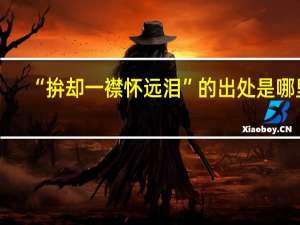 “拚却一襟怀远泪”的出处是哪里