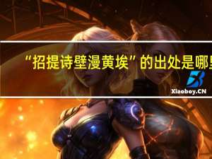 “招提诗壁漫黄埃”的出处是哪里