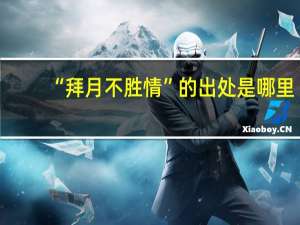 “拜月不胜情”的出处是哪里