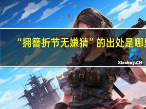 “拥簪折节无嫌猜”的出处是哪里