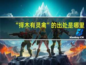 “择木有灵禽”的出处是哪里