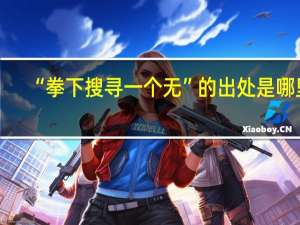“拳下搜寻一个无”的出处是哪里
