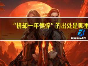 “拼却一年憔悴”的出处是哪里