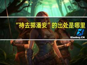 “持去掷潘安”的出处是哪里