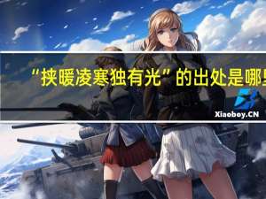 “挟暖凌寒独有光”的出处是哪里