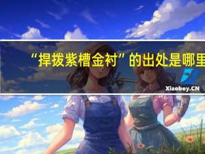 “捍拨紫槽金衬”的出处是哪里