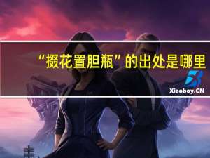 “掇花置胆瓶”的出处是哪里