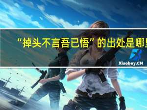 “掉头不言吾已悟”的出处是哪里