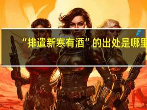 “排遣新寒有酒”的出处是哪里
