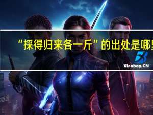 “採得归来各一斤”的出处是哪里