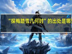 “探梅踏雪几何时”的出处是哪里