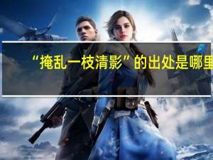 “掩乱一枝清影”的出处是哪里