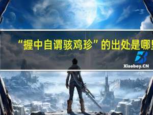 “握中自谓骇鸡珍”的出处是哪里