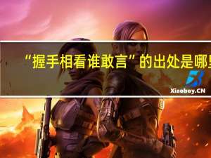 “握手相看谁敢言”的出处是哪里
