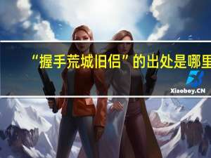 “握手荒城旧侣”的出处是哪里