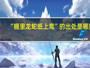 “握里龙蛇纸上鸾”的出处是哪里