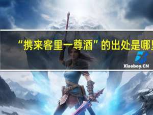 “携来客里一尊酒”的出处是哪里