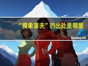 “摸象盲夫”的出处是哪里