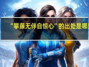 “攀藤无伴自惊心”的出处是哪里