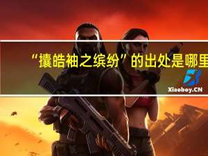“攮皓袖之缤纷”的出处是哪里