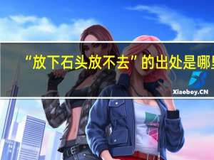 “放下石头放不去”的出处是哪里