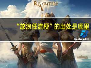 “放浪任流梗”的出处是哪里