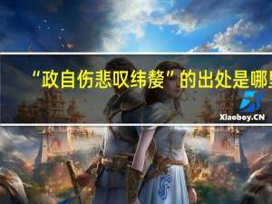 “政自伤悲叹纬嫠”的出处是哪里