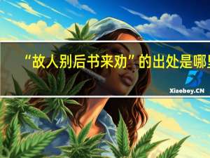 “故人别后书来劝”的出处是哪里