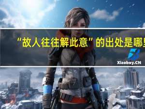 “故人往往解此意”的出处是哪里