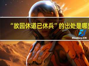 “故园休道已休兵”的出处是哪里