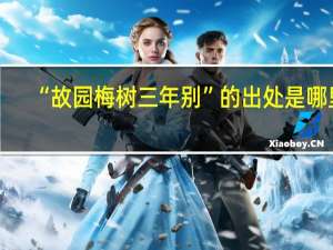 “故园梅树三年别”的出处是哪里