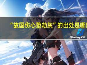 “故国伤心堕劫灰”的出处是哪里
