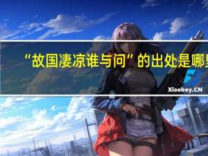 “故国凄凉谁与问”的出处是哪里