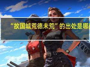 “故国城荒德未荒”的出处是哪里