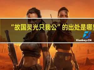“故国灵光只我公”的出处是哪里