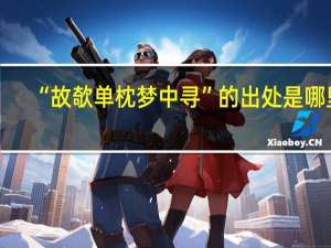 “故欹单枕梦中寻”的出处是哪里