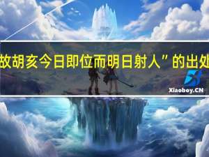 “故胡亥今日即位而明日射人”的出处是哪里