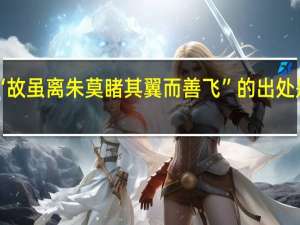 “故虽离朱莫睹其翼而善飞”的出处是哪里